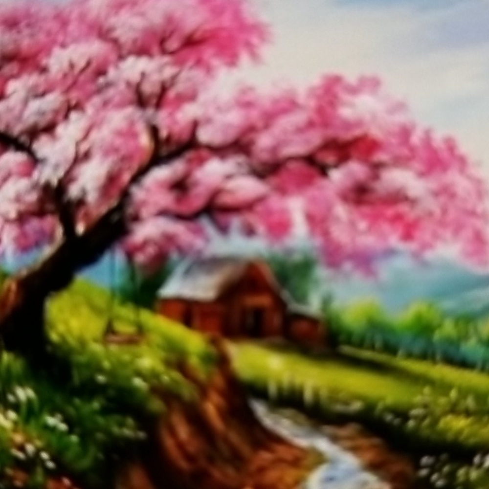 Meet your Posher, Rosa